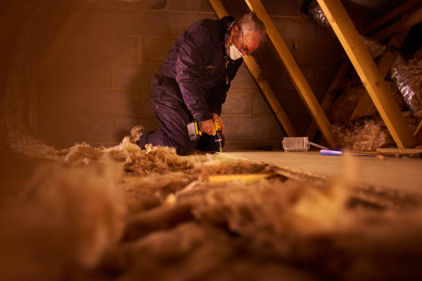Best Geographic-Specific Insulation Services in Mountain Green, UT