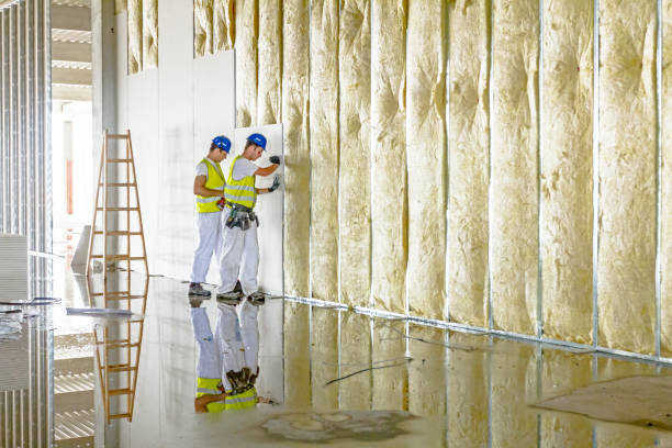 Best Insulation Maintenance and Repair in Mountain Green, UT